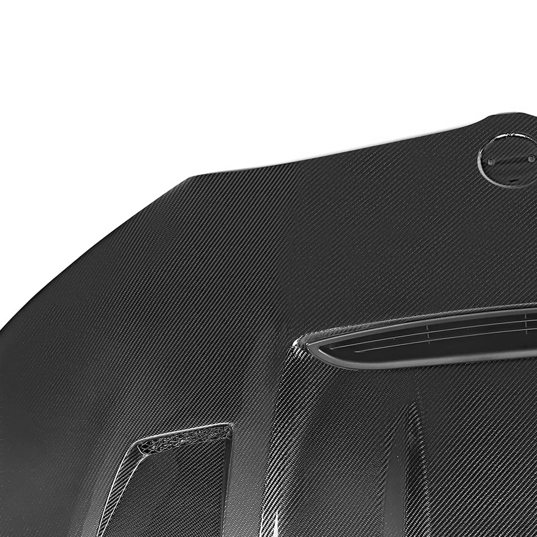 DW Style Carbon Fiber Hood - BMW 3 Series G20 / 330i / M340i (2019-2023)